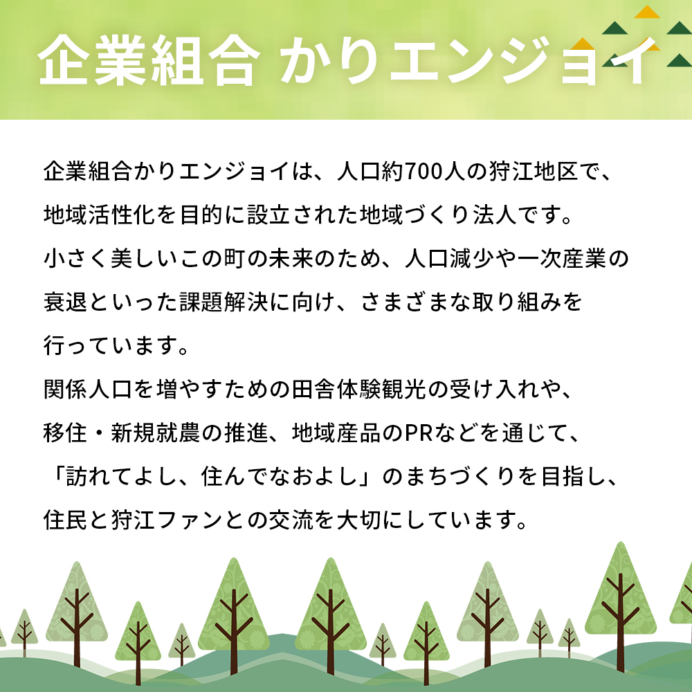 ＜農家めぐり 狩江柑橘ジュース 6選（温州みかん）＞ 温州みかん 南柑20号 愛媛県産 飲料 ジュース 国産 みかん 蜜柑 ミカン ストレートジュース 果汁 セット 詰合せ 6種 6本 企業組合かりエンジョイ 愛媛県 西予市 【常温】『4月中旬以降順次出荷予定』