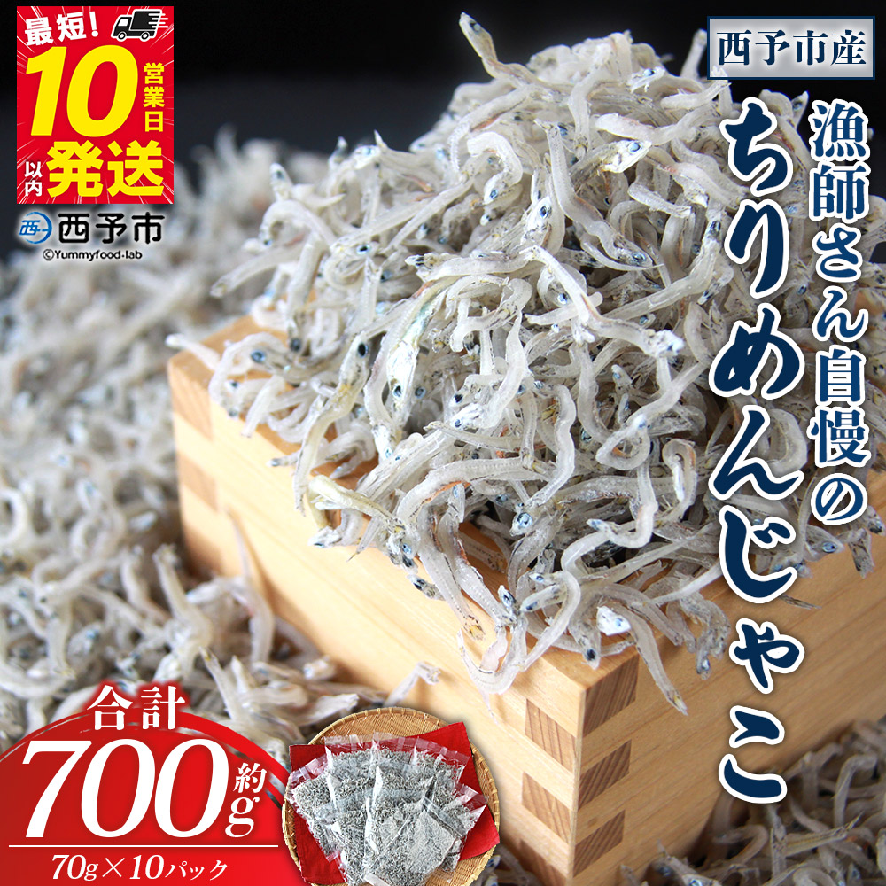 ＜漁師さん自慢のちりめんじゃこ 合計700g（70g×10パック）＞ しらす シラス おじゃこ 魚 さかな 小魚 魚介類 乾燥 海の幸 海鮮 小分け 個包装 おすそ分け 国産 産地直送 特産品 濵田水産 愛媛県 西予市