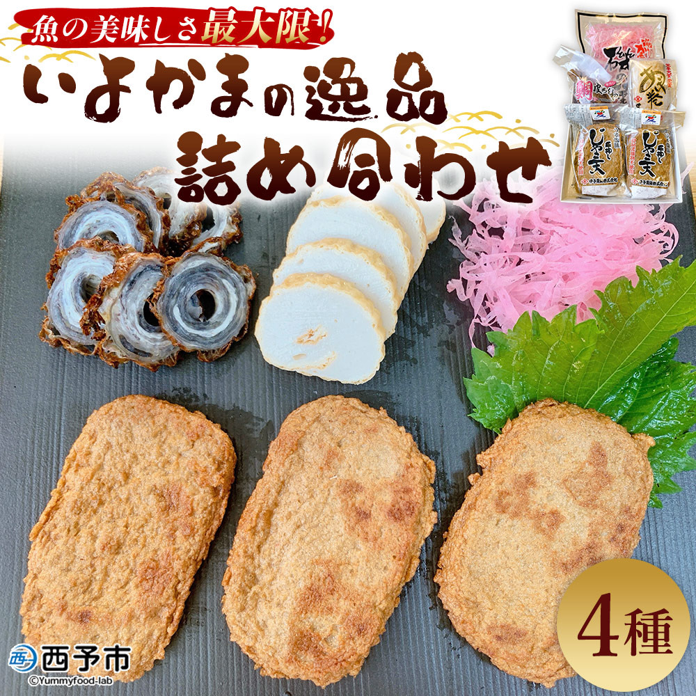 [魚の美味しさ最大限!いよかまの逸品詰め合わせ 4種] メインディッシュにも!じゃこてん セット 魚肉 練り物 鯛皮 すり身 ちくわ けずり蒲鉾 珍味 おつまみ 惣菜 おかず 郷土料理 特産品 伊予蒲鉾 愛媛県 西予市
