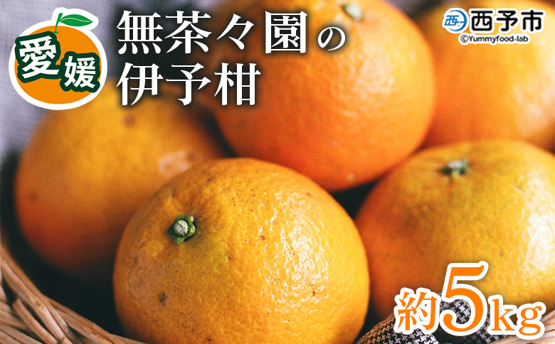 【先行予約】＜無茶々園の伊予柑 約5kg＞ 果物 いよかん イヨカン みかん ミカン 蜜柑 柑橘 フルーツ 期間限定 季節限定 特産品 愛媛県 西予市