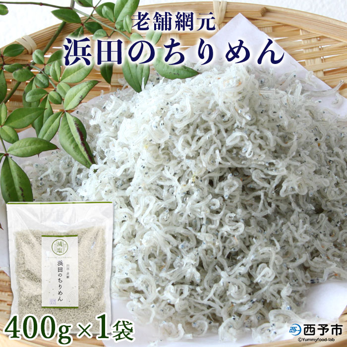 ＜老舗網元 浜田のちりめん(400g×1袋)＞ かたくちいわし カタクチイワシ 小魚 のし対応可 お祝い 内祝い ギフト 贈答 贈り物 プレゼント カルシウム 乾物 国産 マルヨシ水産 特産品 愛媛県 西予市