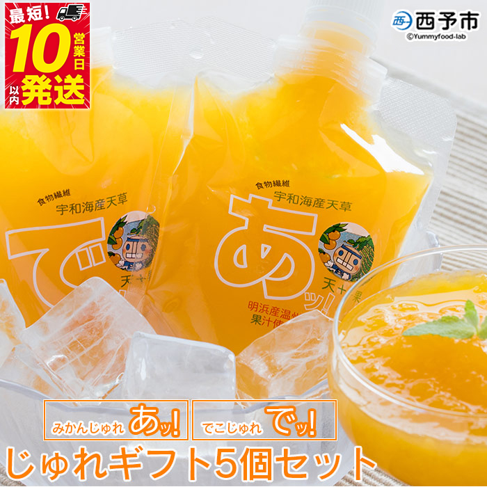 ＜じゅれギフト 5個セット＞ 飲むゼリー 果物 みかん 伊予柑 温州 柑橘 ジュレ デザート おやつ スイーツ あけはまシーサイドサンパーク 贈答用 愛媛県 西予市