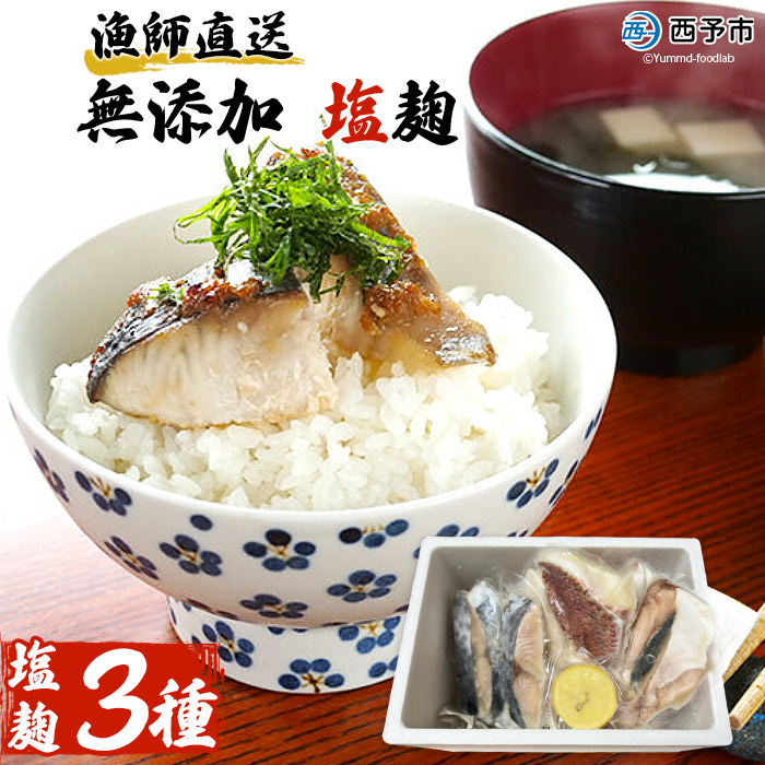 漁師直送　無添加　塩麹　三種セット（愛媛県西予市明浜産）