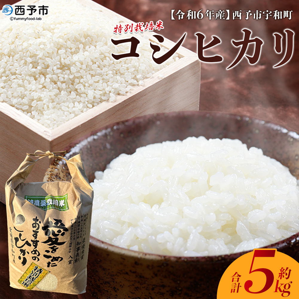 ＜令和7年産 西予市宇和町産 特別栽培米コシヒカリ 5kg＞ お米 コメ こめ 白米 精米 ご飯 白飯 ごはん ライス 穀物 こしひかり コシヒカリ 朝食 低農薬 特産品 愛媛県産 西予市産 宇和町産 三好フク 愛媛県 西予市