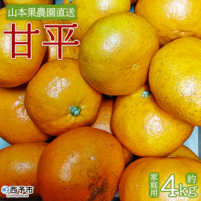 ＜甘平 約４kg（家庭用・M～4Lサイズ混合）＞ 果物 オレンジ フルーツ 柑橘 みかん かんぺい カンペイ 自宅用 産地直送 西宇和 愛媛県 西予市