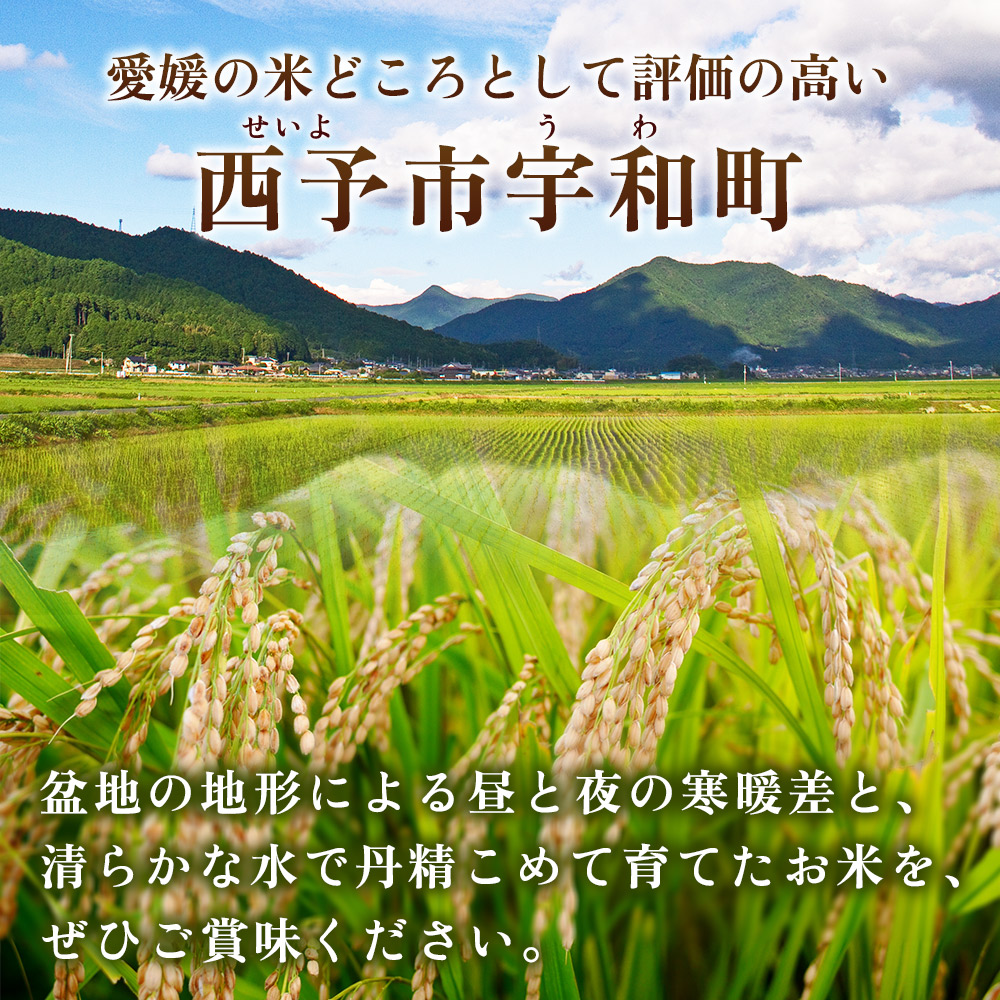 ＜にじのきらめき 約5kg＞ 5キロ ニジノキラメキ 米 お米 コメ こめ 白米 精米 ご飯 ライス 大粒 穀物 西予応援米 特産品 愛媛県産 西予市産 宇和町産 前田農園 愛媛県 西予市 
