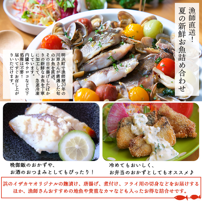漁師直送お買い得な高級鮮魚セット 鮮魚セット 約4kg～8kg | 目安人数8～16人。親戚を呼んでのお祝いごと