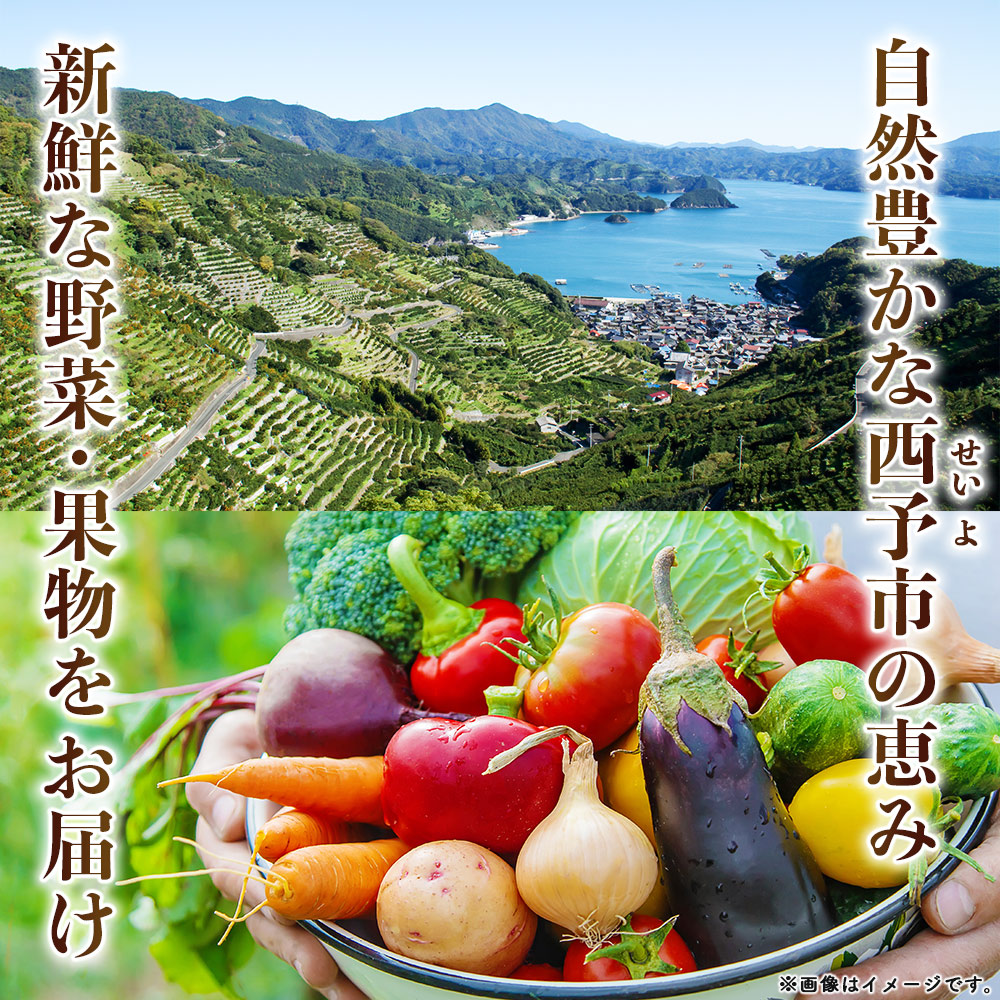 ＜西予市 旬の野菜・果物詰合せセット 月1回3か月（計3回配送）＞ 詰め合わせ つめあわせ セット 旬 青果 フルーツ くだもの やさい 果物セット 野菜セット 季節 産地直送 定期便 どんぶり館 特産品 愛媛県 西予市
