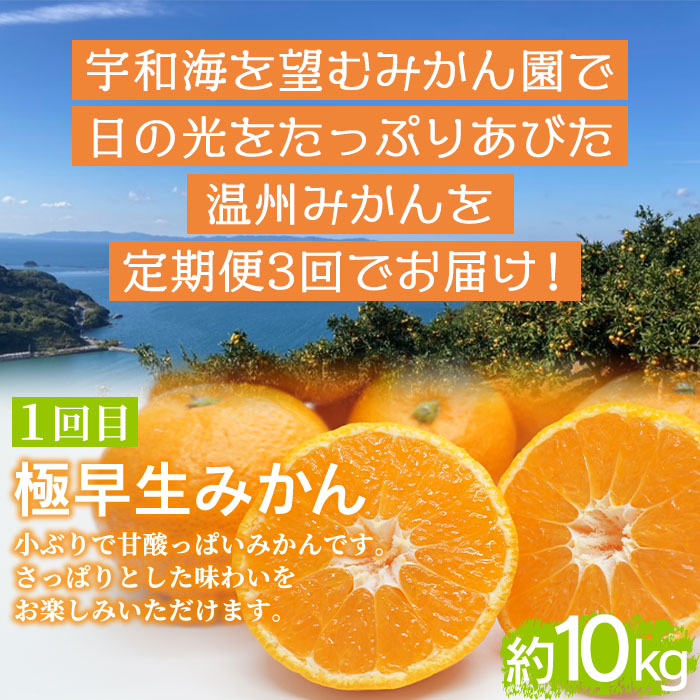 ＜定期便3回 でん助農園の温州みかんリレー 家庭用 合計約30kg＞ 果物 フルーツ ミカン オレンジ 柑橘 極早生 早生 中生 南柑20号 自宅用 産地直送 西宇和産 愛媛県 西予市