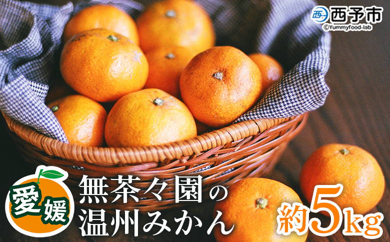 【先行予約】＜無茶々園 温州みかん 約5kg＞ 果物 くだもの ミカン 蜜柑 柑橘 フルーツ うんしゅうみかん 贈り物 ギフト おいしい 期間限定 季節限定 食べて応援 特産品 愛媛県 西予市