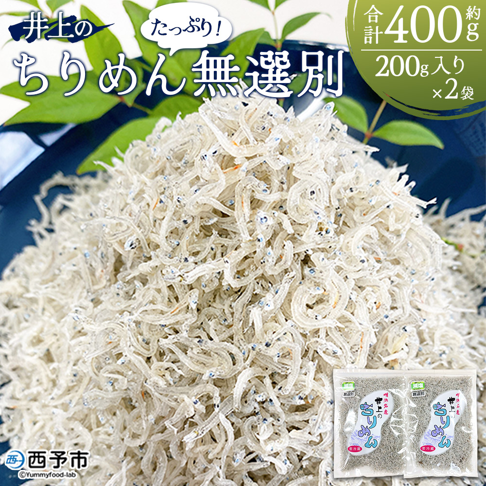 ＜井上のちりめん 無選別 合計約400g（200g入り×2袋）＞ ちりめんじゃこ タコ エビ イカ かたくちいわし 小魚 小分け カルシウム 乾物 愛媛県 西予市