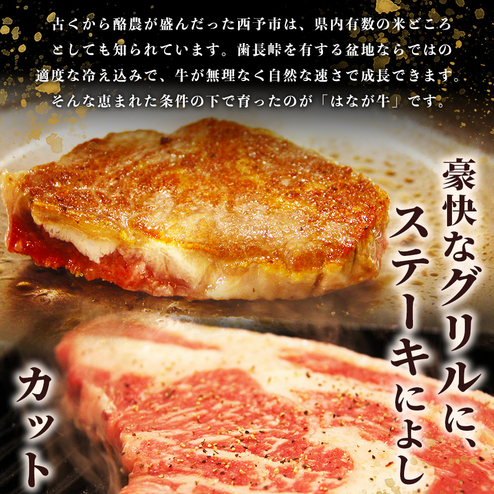 ＜熟成肉 はなが牛リブロースブロック約500g（500g×1個）＞ 牛肉 ステーキ 鉄板焼き 焼き肉 国産 塊肉 かたまり 霜降り しもふり バーベキュー BBQ キャンプ アウトドア 特産品 ゆうぼく 愛媛県 西予市