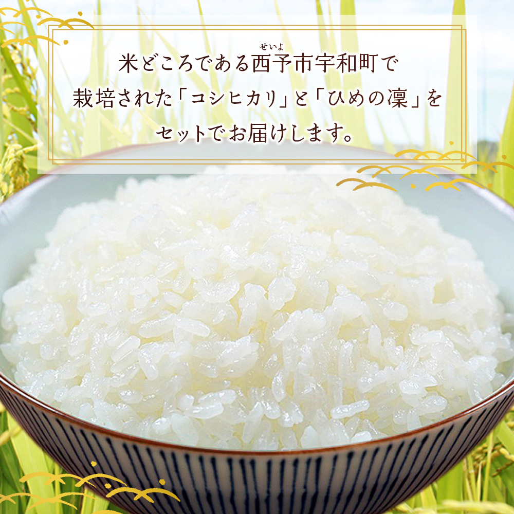 ＜令和7年産 西予市宇和町産 特別栽培米コシヒカリ・ひめの凜 食べ比べセット（各約5kg）＞ お米 コメ こめ 白米 精米 単一原料米 穀物 こしひかり ひめのりん 朝食 低農薬 特産品 三好フク 愛媛県