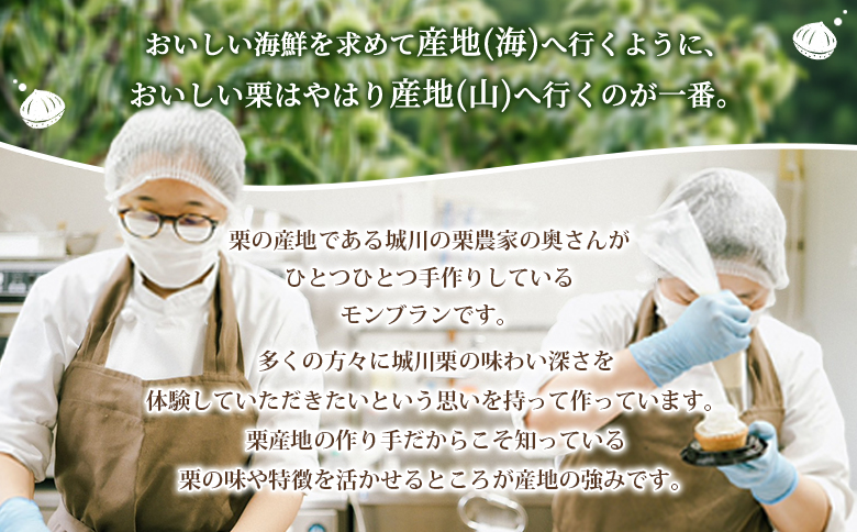 ＜城川オリジナル モンブラン 2個入り【6回定期便】＞ 洋菓子 ケーキ おかし マロン くり クリ 国産 和栗 ペースト クリーム 渋皮煮 生クリーム チーズ タルト メニークエスト 愛媛県 西予市