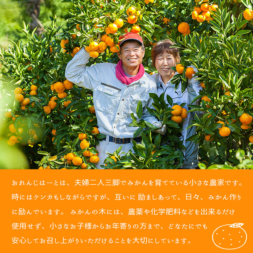 ＜清見オレンジ 家庭用 約2kg＞ 柑橘 みかん ミカン 蜜柑 果物 くだもの フルーツ きよみ キヨミ 訳あり ご自宅用 国産 愛媛産 特産品 おれんじはーと 西宇和 愛媛県 西予市