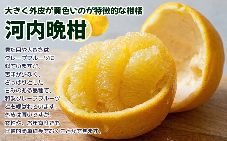 先行予約受付＜天晴晩柑（河内晩柑）家庭用 約1.2kg＞『2026年4月上旬～5月下旬迄に順次出荷予定』訳アリ 訳あり 果物 柑橘 みかん 和製 グレープフルーツ 食べて応援 特産品 株式会社笑丸 愛媛県明浜産 愛媛県 西予市【常温】