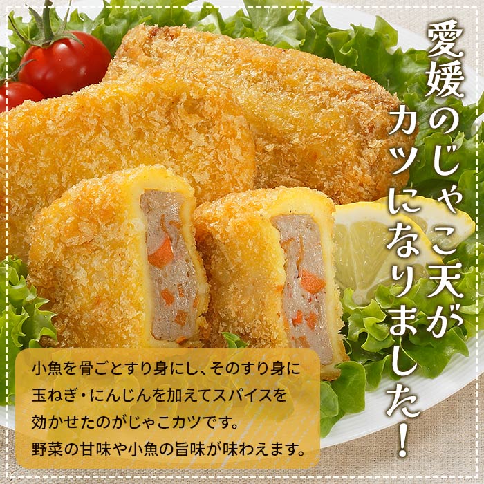 ＜じゃこカツ小判（未加熱）5個入り×1袋＞ お惣菜 小魚 さかな 魚介 すり身 じゃこ天 フライ 揚げ物 加工品 特産品 おつまみ おかず お弁当 バーガー カレー 国産 おがた蒲鉾 愛媛県 西予市