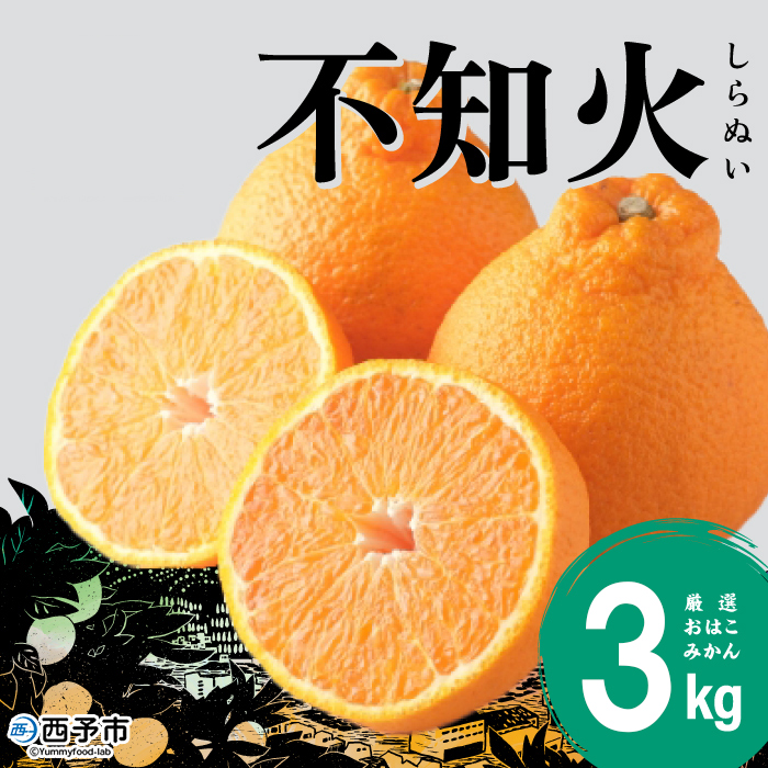 ＜おはこやがつくる おはこデコ（不知火）約3kg（L～3Lサイズ）＞ 果物 フルーツ 柑橘 しらぬい みかん 特産品 西宇和 愛媛県 西予市