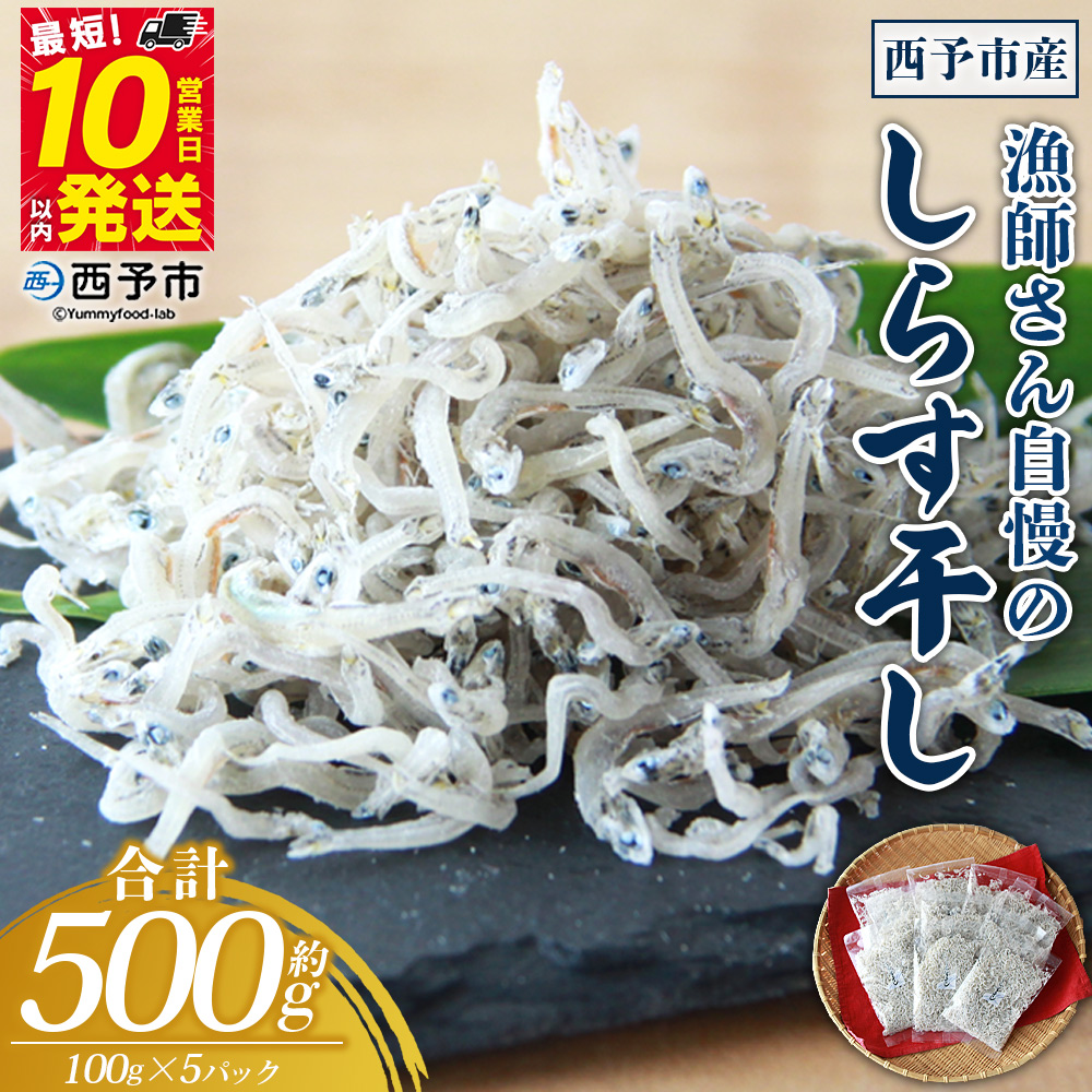 ＜漁師さん自慢のしらす干し 合計500g（100g×5パック）＞ シラス 魚介類 さかな 海産物 海鮮 海の幸 小分け 国産 ご飯のお供 丼 おつまみ 晩酌 おかず おやつ 特産品 産地直送 濵田水産 愛媛県 西予市