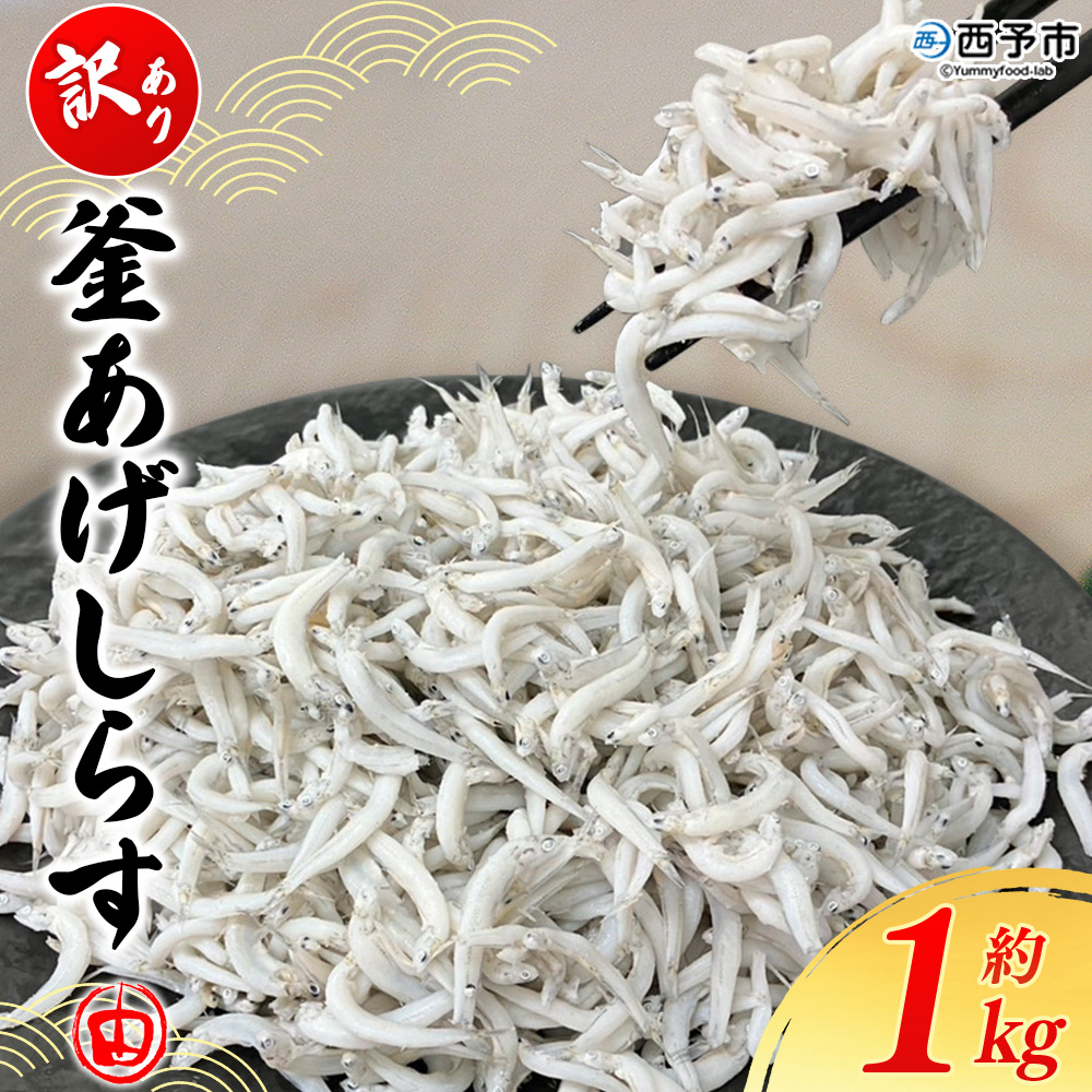 ＜訳あり 釜あげしらす 約1kg＞ 老舗網元 釜揚げ しらす シラス 海鮮 ちりめん 海産物 丼 おにぎり 具材 ご飯 おつまみ おやつ 小魚 国産 1キロ マルヨシ水産 特産品 愛媛県 西予市