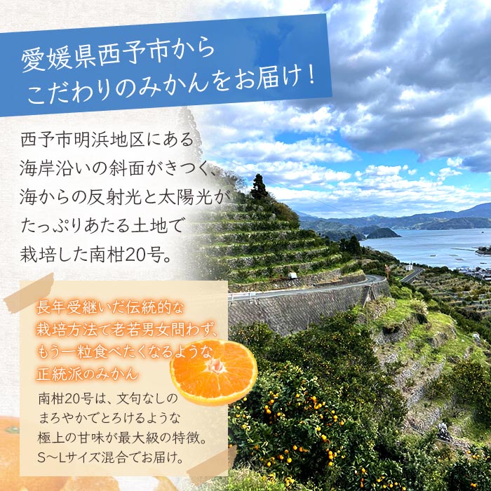 ＜浜風みかん 南柑20号 約５kg＞ 柑橘 ミカン 果物 フルーツ 愛媛県 西予市