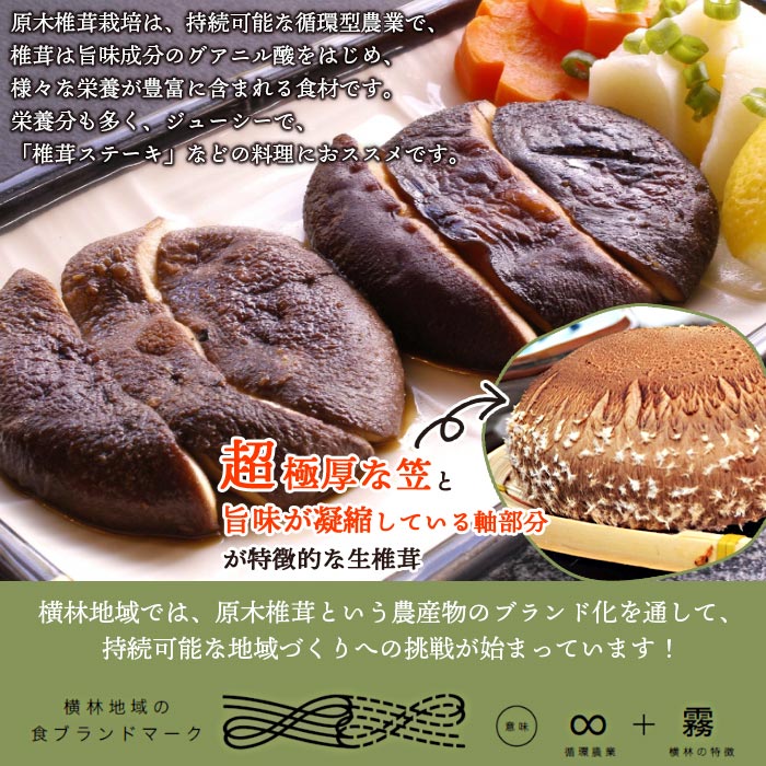 ＜原木 生椎茸「霧源（MUGEN）」約500g（6～8枚）芳醇な香りと肉厚の食感 愛媛県産＞ 肉厚 しいたけ キノコ きのこ 野菜 ジューシー 愛媛県 西予市