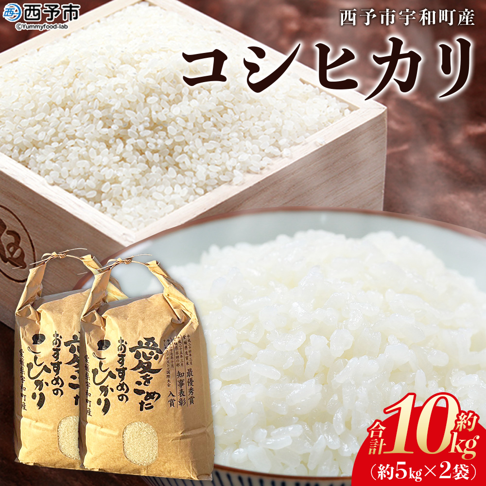＜令和7年産 西予市宇和町産 コシヒカリ 約10kg＞ お米 コメ こめ 白米 精米 単一原料米 ご飯 白飯 ごはん 穀物 コシヒカリ こしひかり 朝食 特産品 愛媛県産 西予市産 宇和町産 三好フク