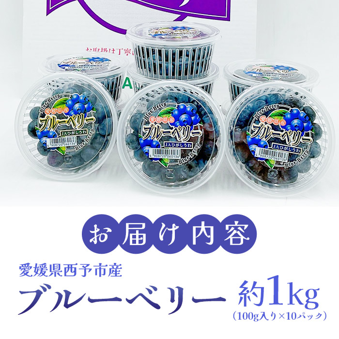 ＜愛媛県西予市産 ブルーベリー 約1kg（100g入り×10パック）＞ ぶるーべりー 果実 果物 生 くだもの フルーツ 国産 小分け ジャム スムージー 【冷蔵】