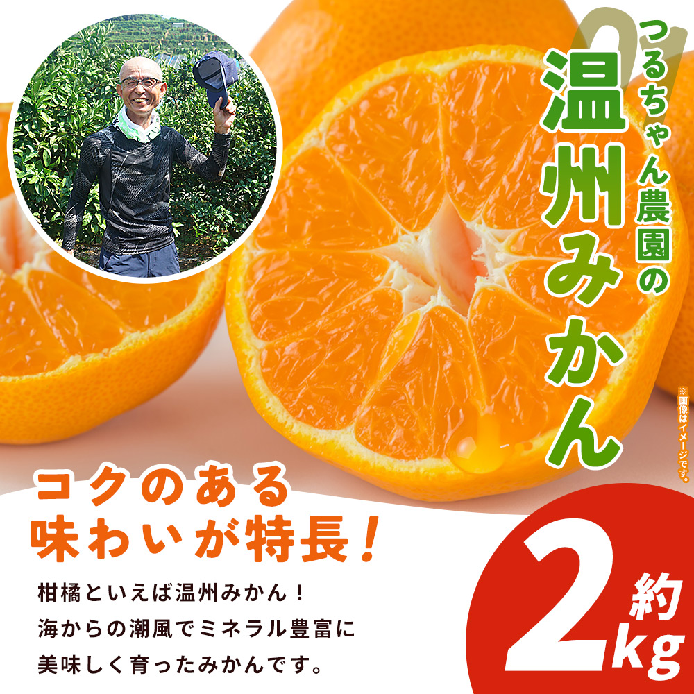 【予約受付】西予の美味しい柑橘セレクト（ご家庭用） /温州みかん 約2kg【11月頃から2027年1月頃までに順次発送（予定）】