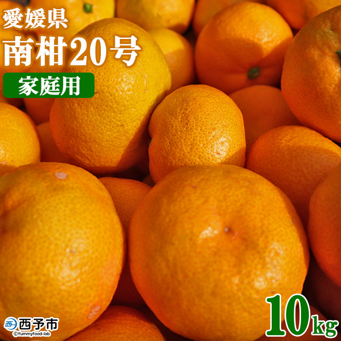 ＜愛媛県西予市産 温州みかん（南柑20号）家庭用 約10kg（サイズ不揃い・小傷あり）＞ 訳あり 果物 くだもの ミカン 柑橘 フルーツ 愛媛県 西予市