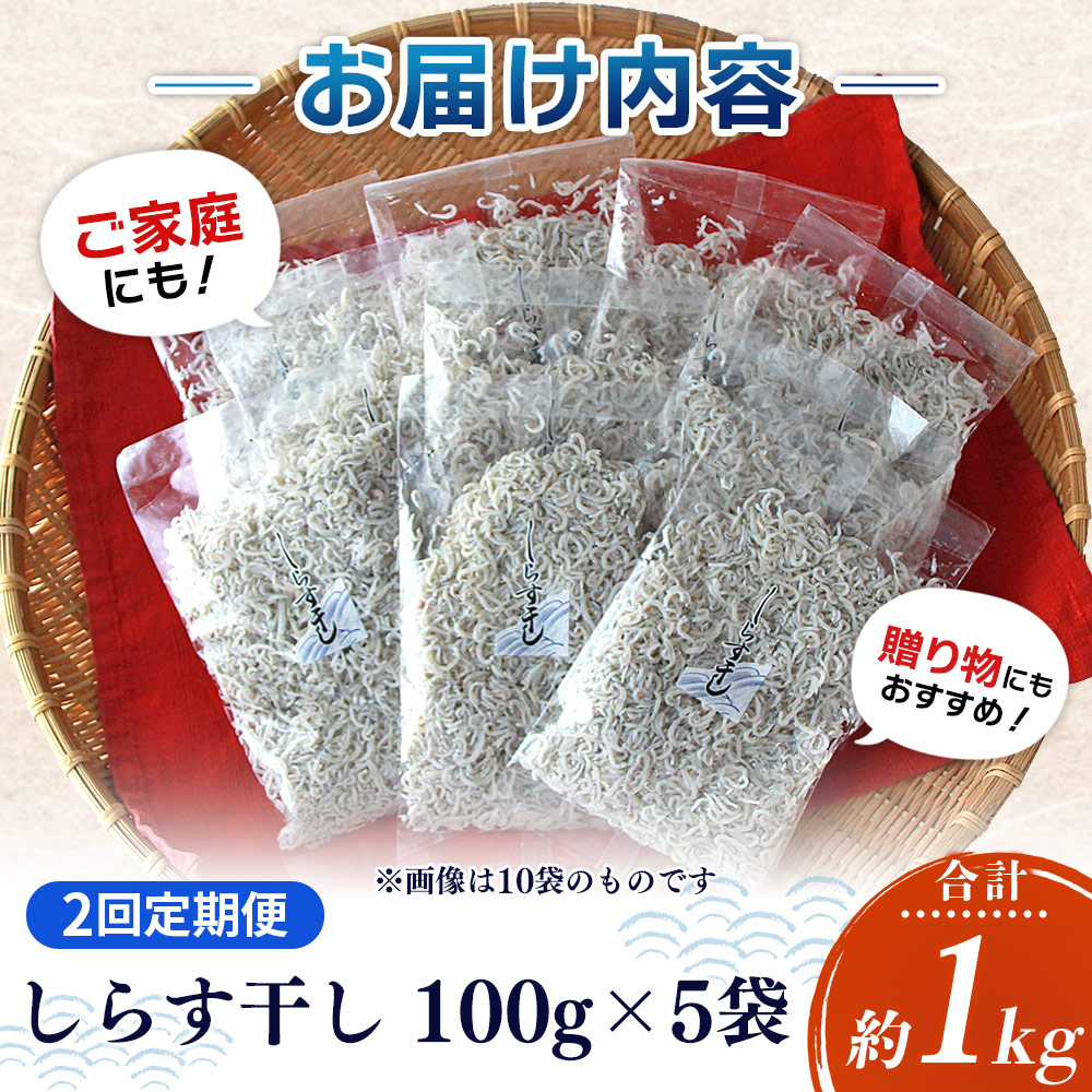 ＜【2回定期便】漁師さん自慢のしらす干し 合計500g（100g×5パック）＞ シラス 魚介類 さかな 海産物 海鮮 海の幸 小分け 国産 ご飯のお供 丼 おつまみ 晩酌 おかず おやつ 特産品 産地直送 濵田水産 愛媛県 西予市