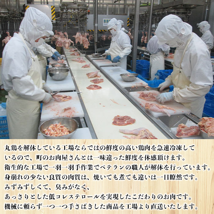 ＜【3ヶ月定期便】銘柄鶏 浜千鶏 愛媛県産 若鶏むね肉 5kg（1kg×5）＞ 国産 鶏肉 大容量 業務用 家庭用 鳥肉 とり チキン ムネ はまちどり 精肉 塊 ブロック 定期便 産地直送 マルハフーズ株式会社 愛媛県 西予市