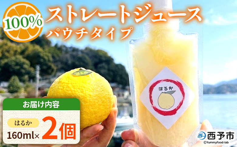 ＜はるか100％ストレートジュース パウチタイプ 160ml×2個＞『1か月以内に順次発送予定』果物 くだもの フルーツ 柑橘類 みかん 蜜柑 ミカン みかんジュース 飲料 渡江から一歩を踏み出す会 愛媛県 西予市【常温】