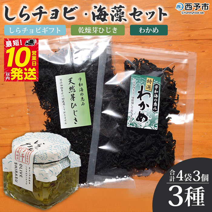 ＜しらチョビ 海藻セット＞ しらす シラス 魚 芽ひじき わかめ オイル漬け アンチョビ しらちょび ご飯のお供 パスタ おつまみ 加工品 贈答 ギフト 手土産 贈り物 特産品 今市水産 愛媛県 西予市