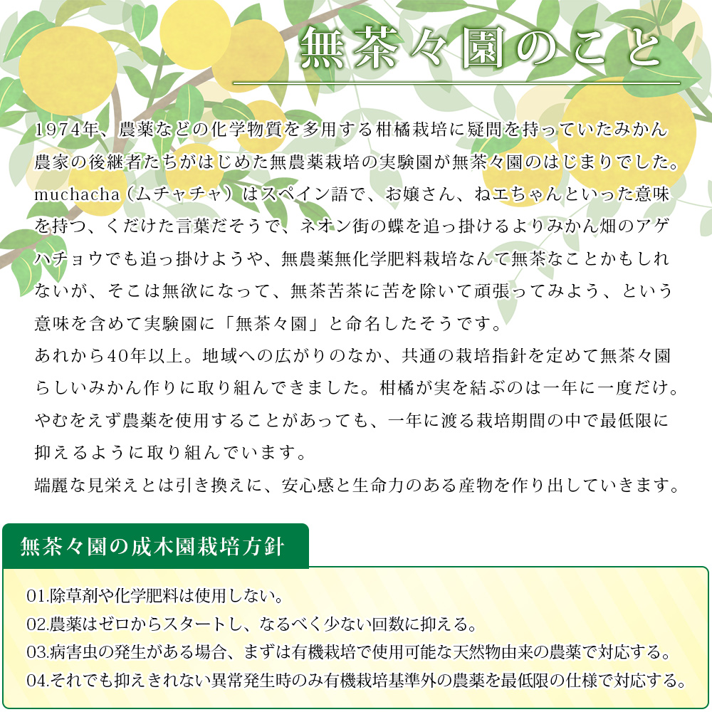 ＜無茶々園のみかんジュース（ブレンド）180ml×12本＞ 柑橘 果物 オレンジ フルーツ ストレート 果汁100% 温州みかん ぽんかん 河内晩柑 ブレンド 小瓶 特産品 無茶々園 愛媛県 西予市