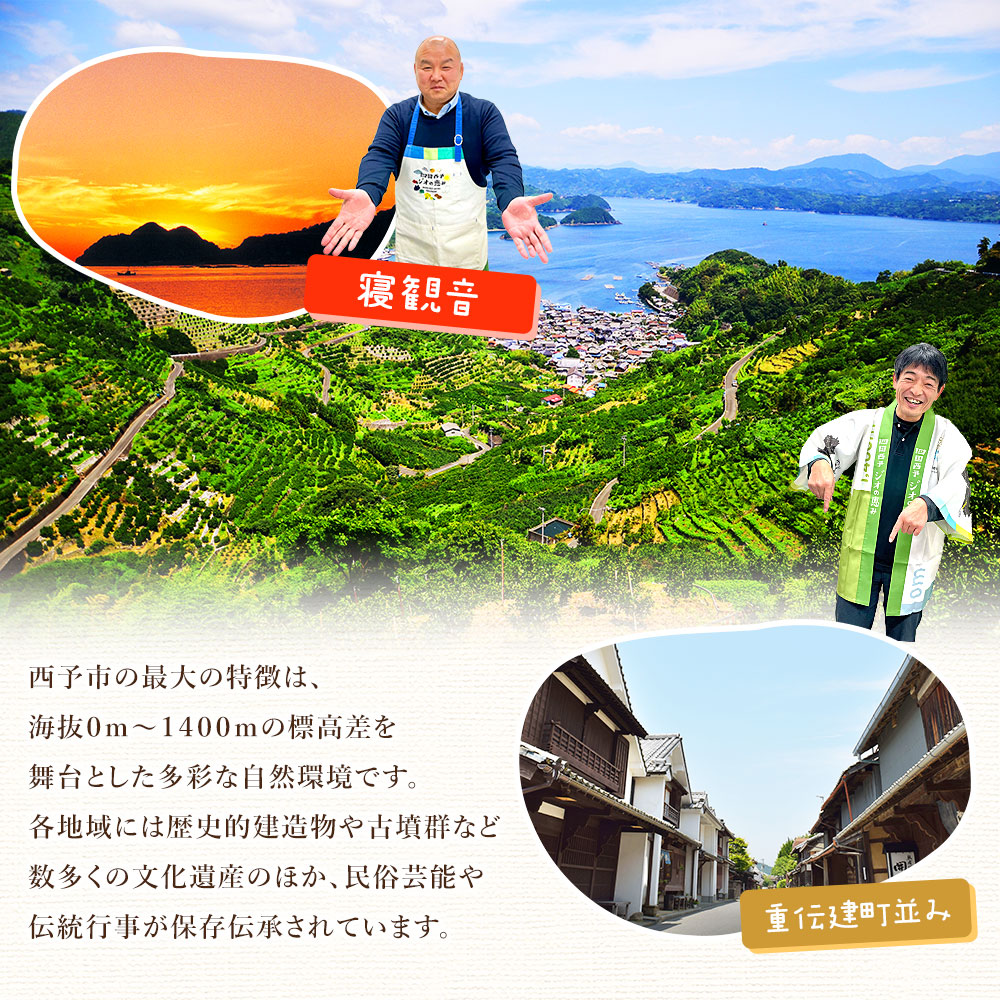 ＜柚子茶 125g×4個＞ ペクチン・添加物不使用 西予市産 国産 フルーツジャム ゆず フルーツティ ホット アイス 炭酸割 ヨーグルト トッピング ドリンク アレンジ 朝食 株式会社味彩 愛媛県【常温】『1か月以内に順次出荷』