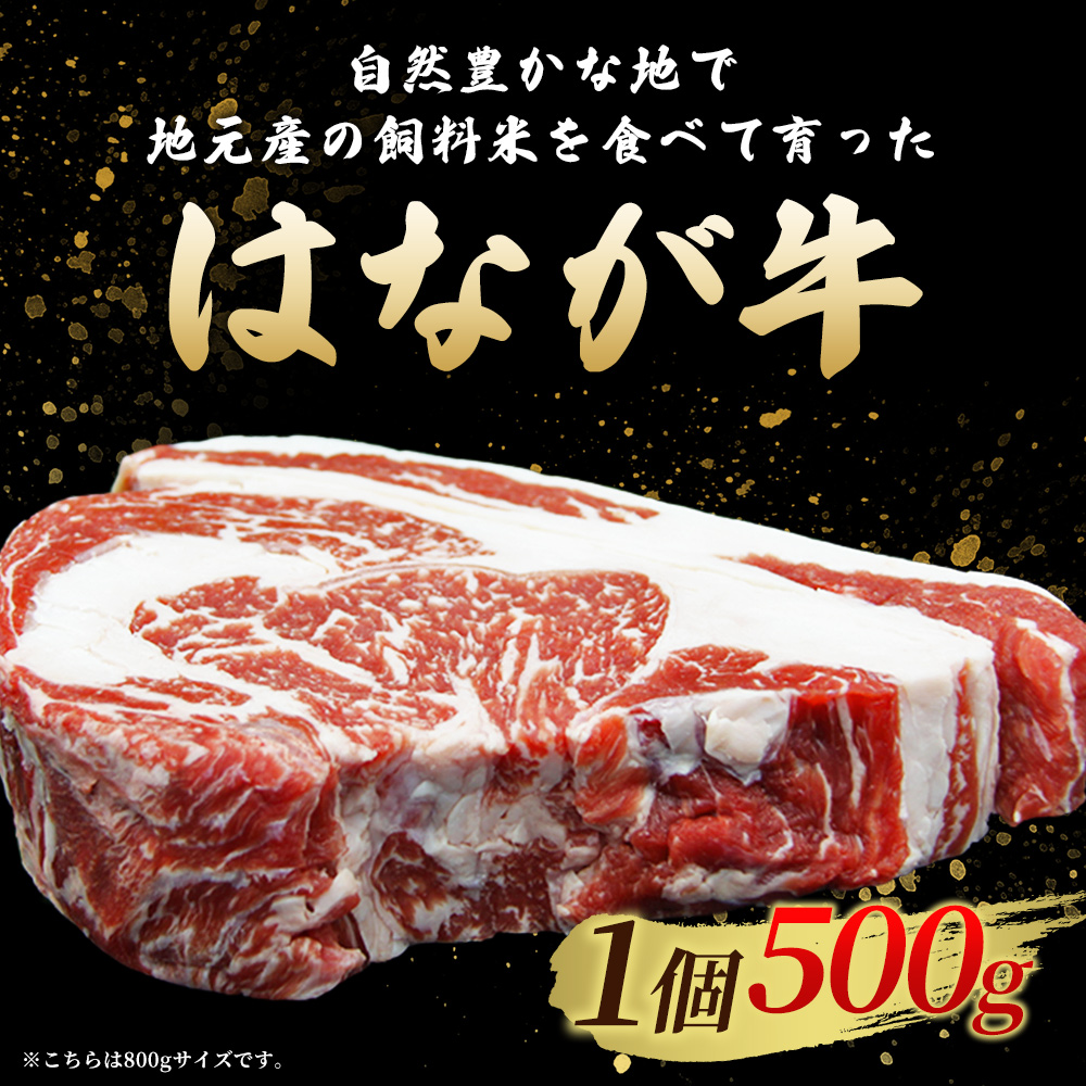 ＜熟成肉 はなが牛リブロースブロック約500g（500g×1個）＞ 牛肉 ステーキ 鉄板焼き 焼き肉 国産 塊肉 かたまり 霜降り しもふり バーベキュー BBQ キャンプ アウトドア 特産品 ゆうぼく 愛媛県 西予市