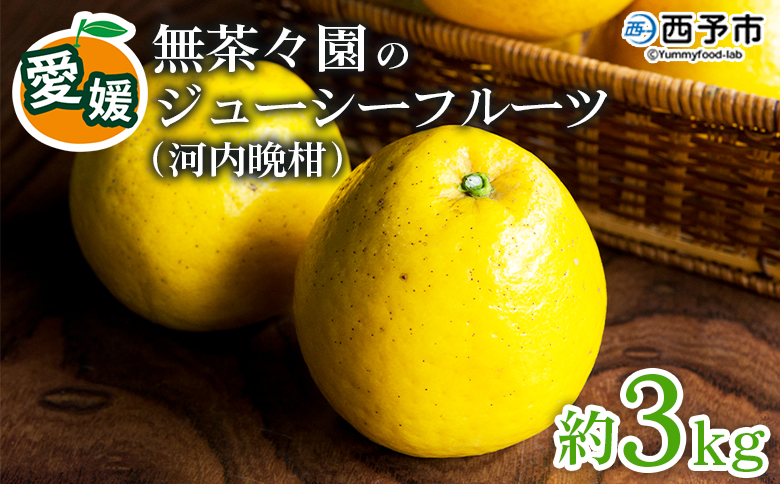 ＜無茶々園のジューシーフルーツ（河内晩柑）約3kg＞果物 かわちばんかん みかん ミカン 蜜柑 柑橘 期間限定 季節限定 食べて応援 特産品 愛媛県 西予市