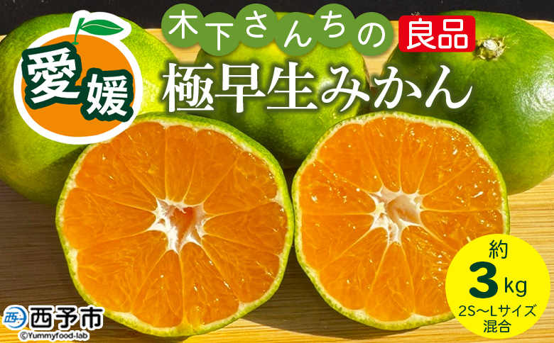 [木下さんちの極早生みかん 良品 約3kg(2S〜Lサイズ混合)]『2026年10月に順次出荷予定』柑橘類 ごくわせ 早生ミカン 蜜柑 果物 くだもの フルーツ 甘酸っぱい あまずっぱい 国産 キロ 特産品 木下農園 西宇和 愛媛県 西予市[常温]