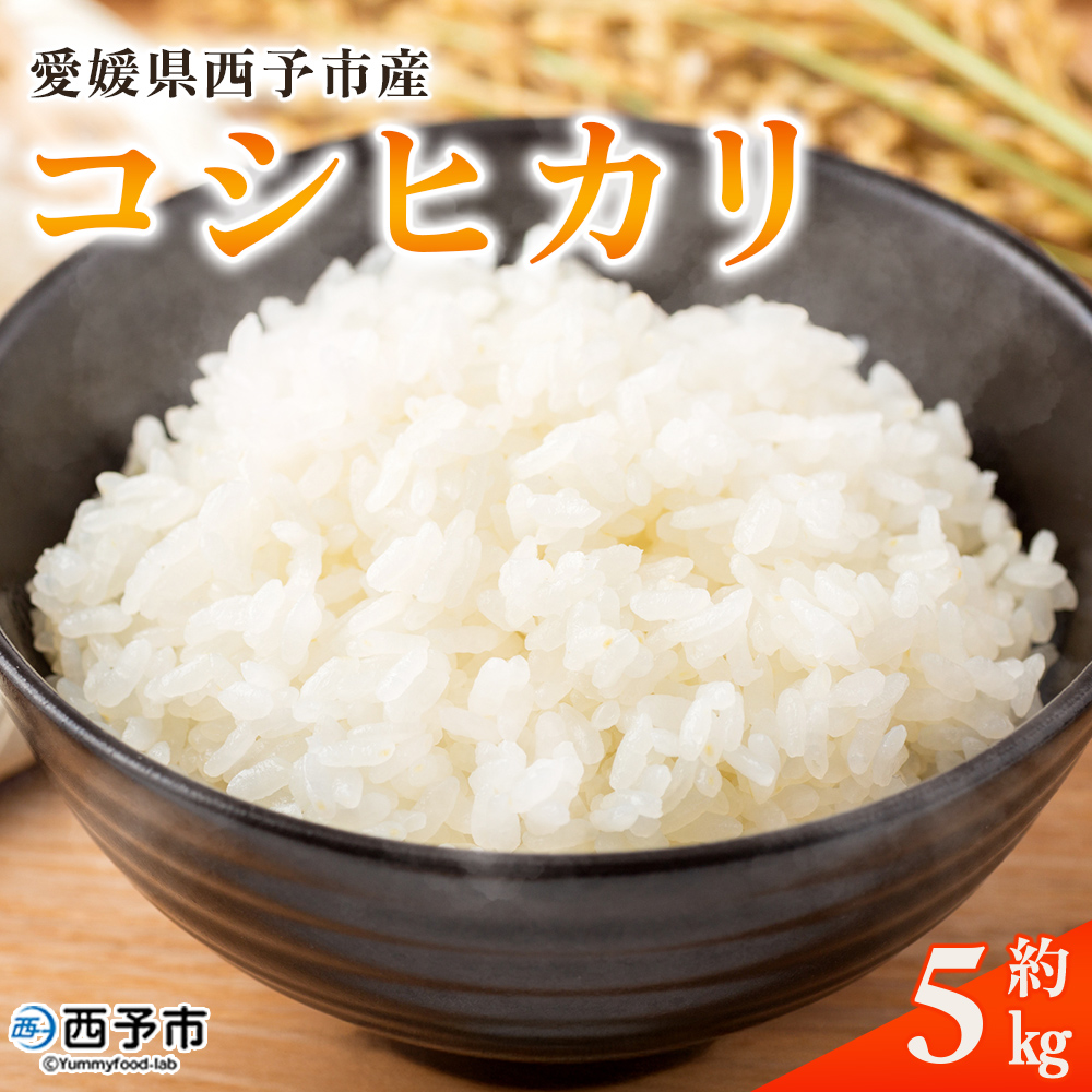 新米＜令和8年産 コシヒカリ 5kg＞国産 愛媛県産 宇和町産 宇和米 こしひかり お米 米 コメ こめ 白米 精米 ご飯 新鮮 5キロ 特産品 大塚農園 愛媛県 西予市