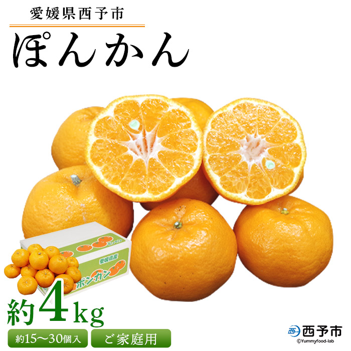 [愛媛県西予市産 ぽんかん ご家庭用 約4kg] 訳あり 果物 くだもの フルーツ みかん ミカン オレンジ ポンカン 柑橘 愛媛県 西予市