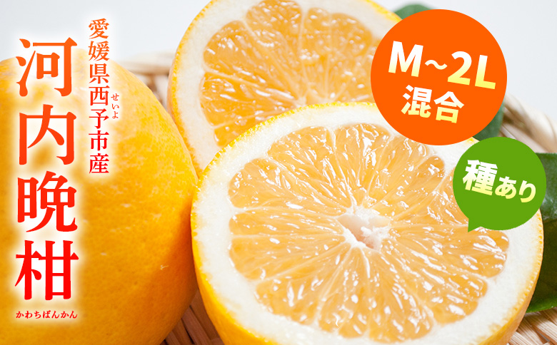 ＜愛媛県産 河内晩柑 約8kg（M～2L）＞ 柑橘 みかん フルーツ 和製グレープフルーツ ジューシー 初夏 旬 サイズ混合 西宇和 国産 さっぱり 甘い 農園オレンジとムラサキ 西予市