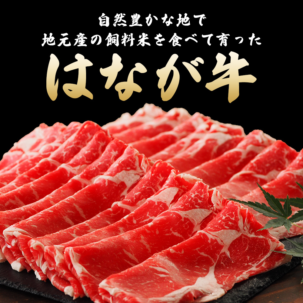 ＜熟成肉 はなが牛リブロース スライス 合計800g（200g×4袋）＞ 牛肉 すき焼き しゃぶしゃぶ 国産 国産牛 スライス肉 霜降り 小分け 薄切り 使いやすい 便利 愛媛県 西予市