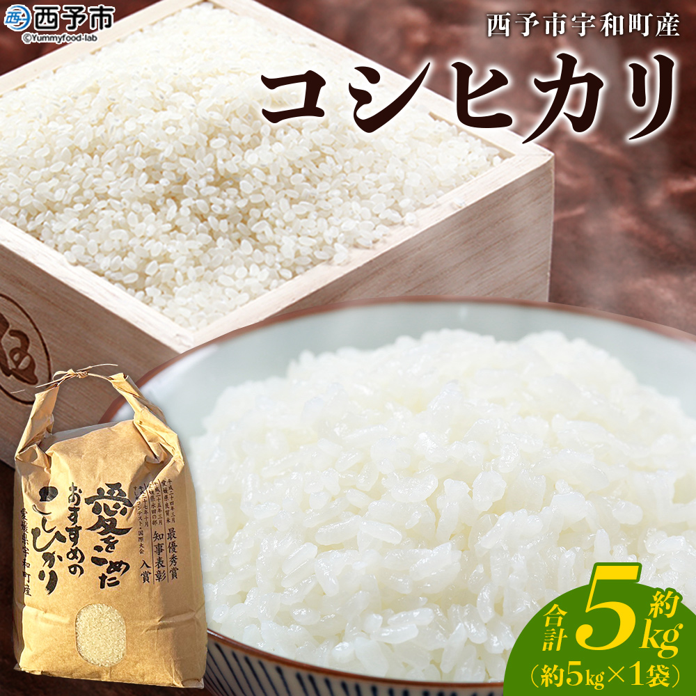 [令和7年産 西予市宇和町産 コシヒカリ 約5kg] お米 コメ こめ 白米 精米 単一原料米 ご飯 白飯 ごはん 穀物 コシヒカリ こしひかり 朝食 特産品 愛媛県産 西予市産 宇和町産 三好フク
