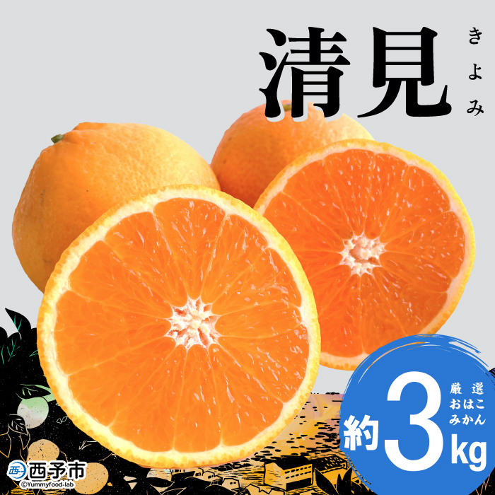 ＜おはこやがつくる 清見 約3kg（L～3Lサイズ）＞ 果物 くだもの フルーツ 柑橘 きよみ キヨミ きよみたんごーる 清見タンゴール 蜜柑 ミカン みかん 特産品 西宇和 愛媛県 西予市