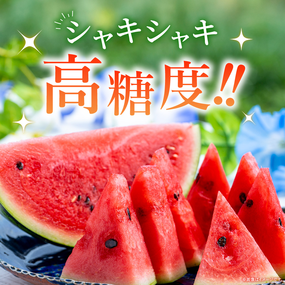 【先行予約】スイカ ＜愛媛県西予市産 中玉西瓜 2玉＞ 果物 くだもの 果肉 西瓜 すいか 中玉 中玉すいか 中玉スイカ M～L 5～7kg 高糖度 甘い 季節 食べて応援 国産 特産品 宇都宮物産 愛媛県 西予市【常温】『2026年7月上旬～8月上旬迄に順次出荷予定』