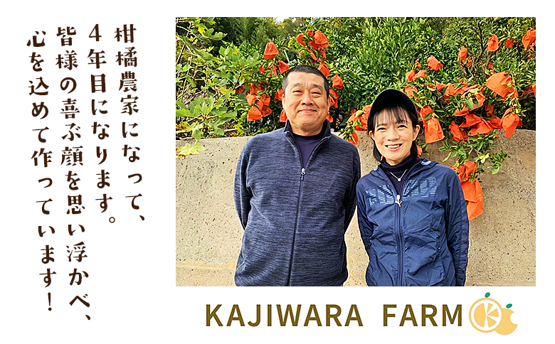 ＜柑橘100％ジュース （温州みかん2本+まどんな（愛果28号）+伊予柑+清見+せとか 6本）＞ 温州みかん ストレートジュース 果汁100％ ミカン 蜜柑 果物 柑橘 かじわらFARM 愛媛県 西予市【常温】『1か月以内に順次出荷予定』