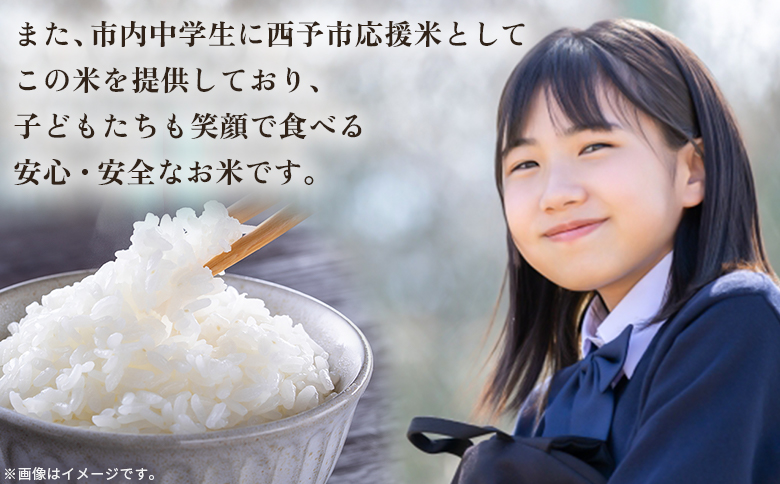 ＜令和7年産 愛媛県西予市産 コシヒカリ 田んぼダム米 5kg＞※最短10営業日以内に順次発送予定 5キロ こしひかり 西予応援米 宇和米 お米 コメ こめ 白米 精米 米 国産 愛媛県産 宇和町産 和みファーム 愛媛県 西予市
