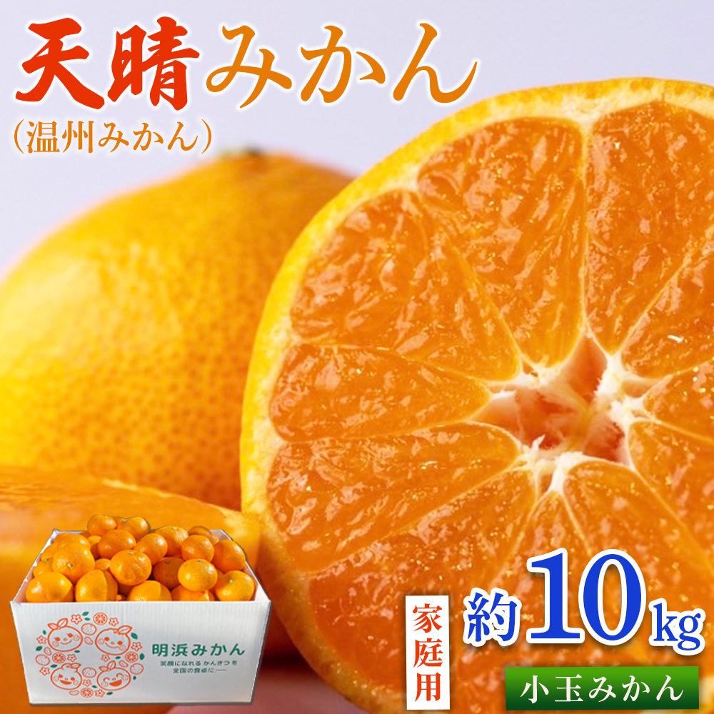 ＜愛媛県明浜産 天晴みかん（温州みかん）約10kg 小玉サイズ＞ 家庭用 訳あり ワケアリ 果物 くだもの フルーツ ミカン 柑橘 特産品 笑丸 愛媛県 西予市