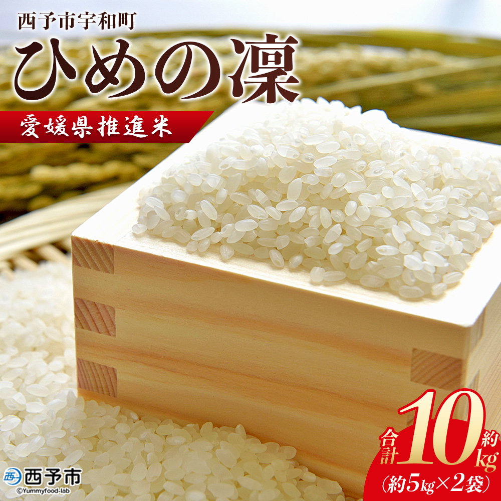 ＜愛媛県推進米 ひめの凜 約10kg＞ お米 コメ こめ 白米 精米 ご飯 ライス 穀物 ひめのりん ヒメノリン ヒメノ凜 ブランド米 大粒 ツヤツヤ 特産品 愛媛県産 西予市産 宇和町産 三好フク 愛媛県 西予市 【常温】『2025年11月中旬より順次出荷予定』